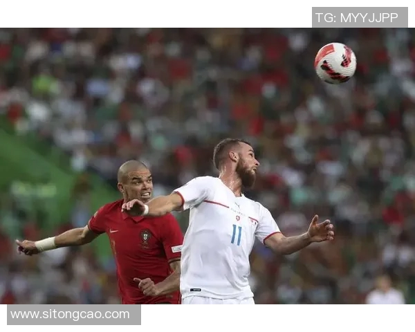 2012年葡萄牙与捷克精彩对决回顾及赛后分析 2012年葡萄牙与捷克精彩对决回顾及赛后分析