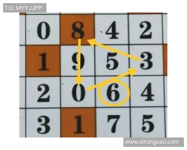 探索福彩3D天罡八卦图的奥秘与选号技巧揭秘助你中大奖