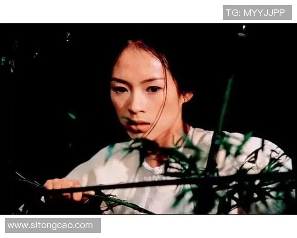 李安导演的电影艺术之路：从喜宴到卧虎藏龙的辉煌成就与影响