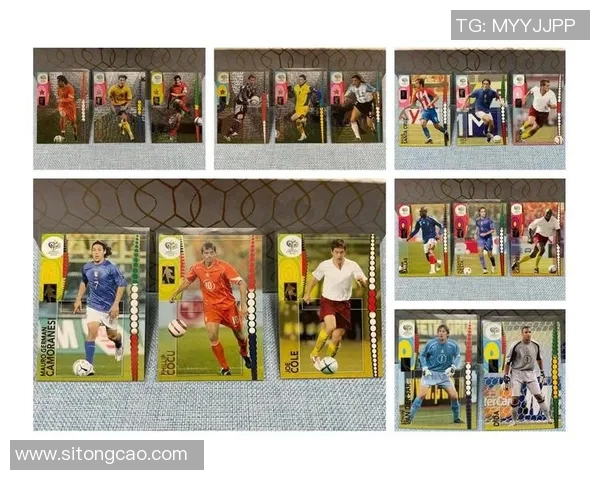 帕尼尼球星卡的魅力与收藏价值探秘，如何选择与投资指南